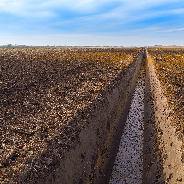 impacts-mauvais-drainage-sur-cultures